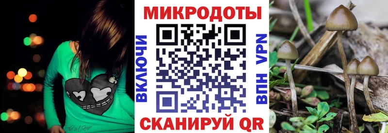 Псилоцибиновые грибы Psilocybine cubensis  Купить где  Пыть-Ях 